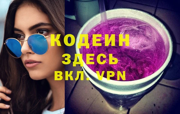 сатива Волоколамск