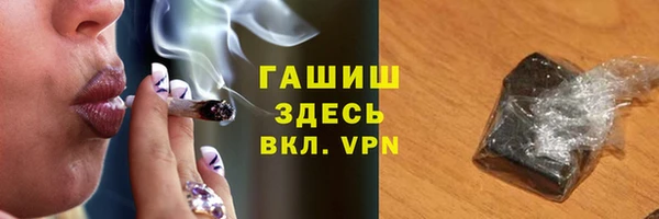 сатива Волоколамск
