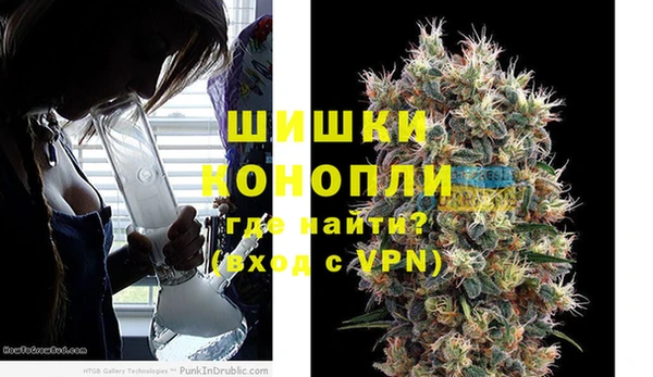 сатива Волоколамск
