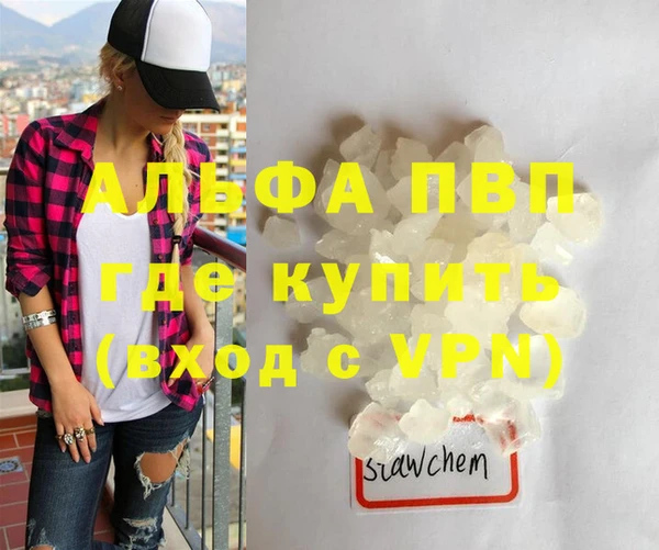 сатива Волоколамск
