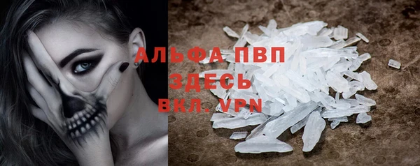 сатива Волоколамск